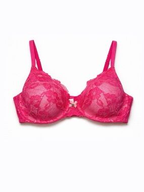 Victoria’s Secret Body By Victoria Pink Lace Lined Perfect Coverage Bra 36D